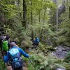 09 b Schluchensteig Etappe 4 - 6
